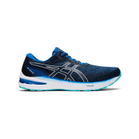 Asics GT-2000 10 Lake Drive/White