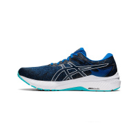 Asics GT-2000 10 Lake Drive/White