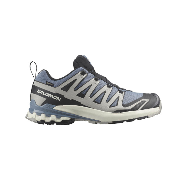 Salomon XA PRO 3D V9 GTX Flint/Black/Ghos