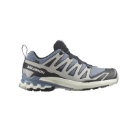 Salomon XA PRO 3D V9 GTX Flint/Black/Ghos