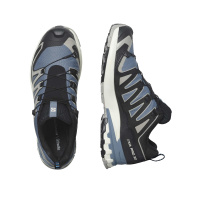 Salomon XA PRO 3D V9 GTX Flint/Black/Ghos