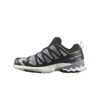 Salomon XA PRO 3D V9 GTX Flint/Black/Ghos