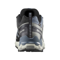 Salomon XA PRO 3D V9 GTX Flint/Black/Ghos