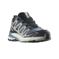Salomon XA PRO 3D V9 GTX Flint/Black/Ghos